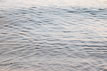 Calm water, the blurred background.