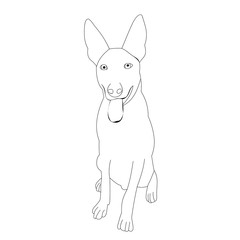 vector, on a white background, outline, sketch dog sitting