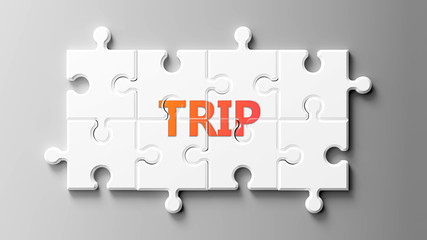 Trip complex like a puzzle - pictured as word Trip on a puzzle pieces to show that Trip can be difficult and needs cooperating pieces that fit together, 3d illustration