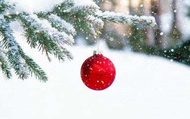 Close-up of a Christmas Bauble hanging on the tree outside in the snowfall. This image was taken at...
