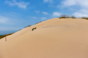 The beautiful sand dunes at Guincho, Portugal