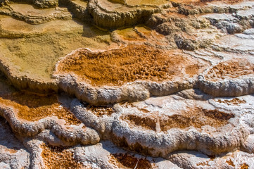 Fototapeta premium Geyser in Yellowstone National Park. USA. Wyoming
