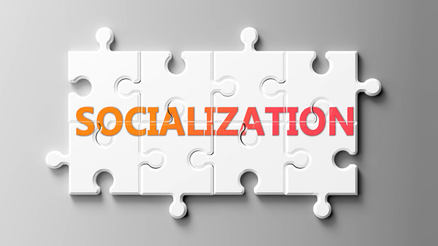 Socialization complex like a puzzle - pictured as word Socialization on a puzzle pieces to show that Socialization can be difficult and needs cooperating pieces that fit together, 3d illustration