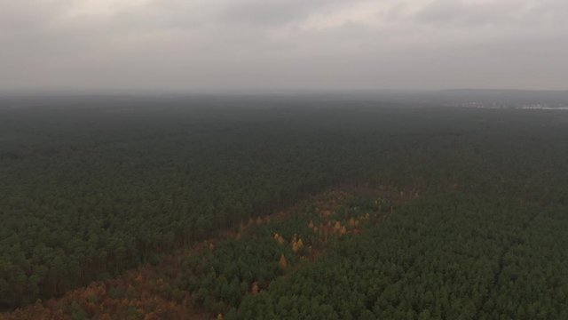 Luftaufnahme vom Standort der zuk&uuml;nftigen Tesla GigaFactory 4 in Gr&uuml;nheide, Brandenburg