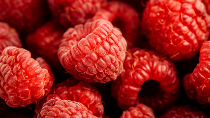 Fresh ripe raspberries close-up. Background