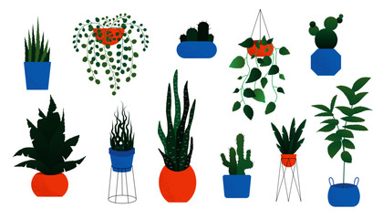 Pot plant vector set. Decorative hanging houseplant, indoor basket fern, design template for potting tree urban garden