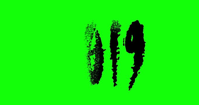 Animated stop motion video with hand drawn calligraphy 2019 2020. Isolated black on green background for custom use.