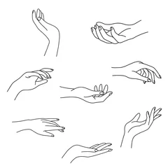 Fotobehang Woman's hand collection line. Vector Illustration of female hands of different gestures - victory, okay. Lineart in a trendy minimalist style. Logo design, hand cream, nail Studio, posters, cards. © kssss