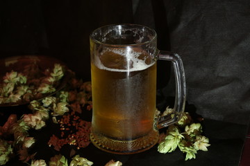 glass of beer on green background