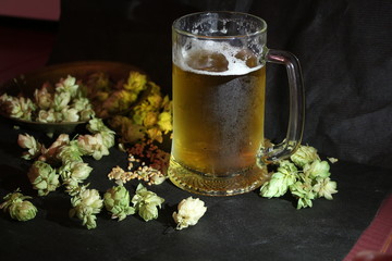 glass of beer and hop on wooden table