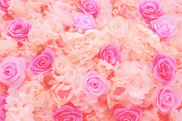 Blurred of rose flowers pink blooming. in the pastel color style for background.