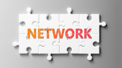 Network complex like a puzzle - pictured as word Network on a puzzle pieces to show that Network can be difficult and needs cooperating pieces that fit together, 3d illustration