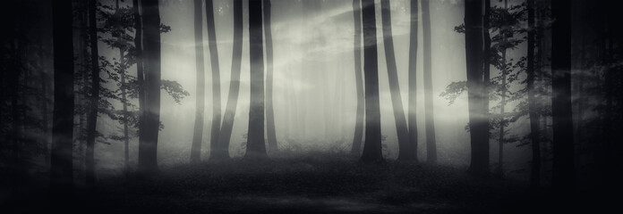 surreal dark forest panorama, fantasy landscape with strange portal in forest at night