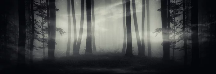 Fototapeten surreales dunkles Waldpanorama, Fantasielandschaft mit seltsamem Portal im Wald bei Nacht © andreiuc88
