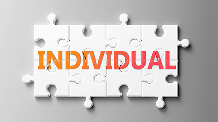 Individual complex like a puzzle - pictured as word Individual on a puzzle pieces to show that Individual can be difficult and needs cooperating pieces that fit together, 3d illustration