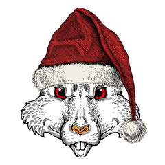 Wild rat wearing Santa Claus hat. Animal with traditional Christmas headdress. Symbol chinese happy new year 2020.