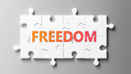Freedom complex like a puzzle - pictured as word Freedom on a puzzle pieces to show that Freedom can be difficult and needs cooperating pieces that fit together, 3d illustration