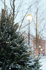 Christmas tree sale market. Festive fair in winter.