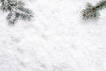 Christmas white background with snow and christmas tree branch, flat lay, top view - 303555735