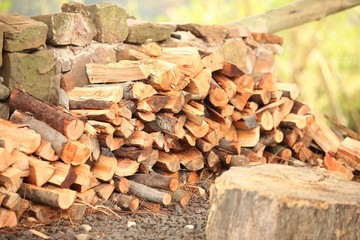 Log pile