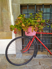 Fototapeta na wymiar Bike with plants