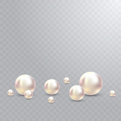 Vector Illustration for your design. Luxury beautiful shining jewellery background with white pearls vector illustration. Beautiful shiny natural pearls. With transparent glares and highlights for
