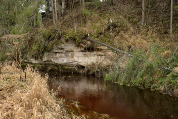 Sarya river, a suburb of St. Petersburg.