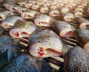 Dried Snakeskin gourami fish / Dried snakeskin gourami.