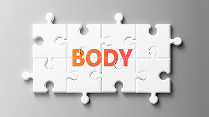 Body complex like a puzzle - pictured as word Body on a puzzle pieces to show that Body can be difficult and needs cooperating pieces that fit together, 3d illustration