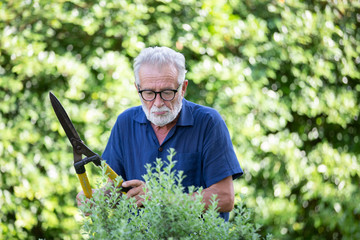 happy Senior doing home garden by scissors in the backyard