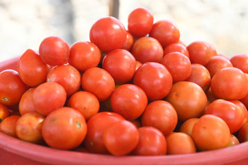 Delicious Red Tomatos