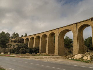 Fototapeta na wymiar aqueduct in algeria