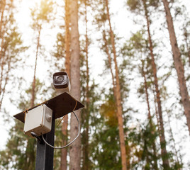 Hidden camcorder in the forest on a background of trees. The concept of forest chambers in the...