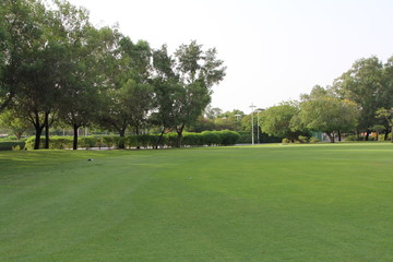 Lush Green Landscape with trees