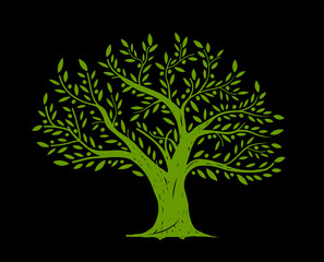 Olive tree. Vector illustration. Ready for your design of packaging, label, icon and etc. EPS10.