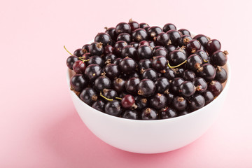 Fresh black currant in white bowl on  pink background. side view.