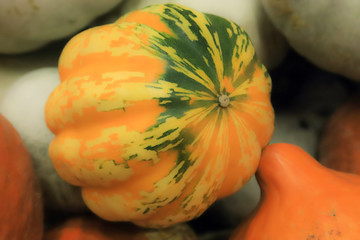 pumpkins