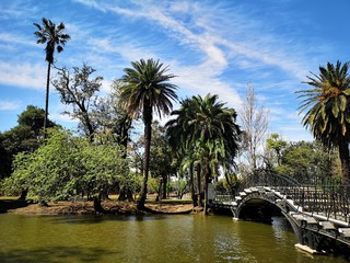 Side view of a bridge surrounded by water and trees