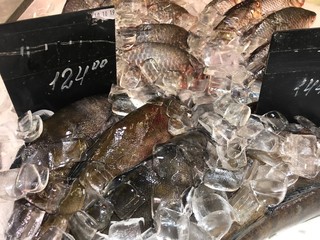 fresh fish in a market