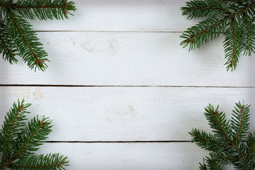 Fir branches on white vintage planks