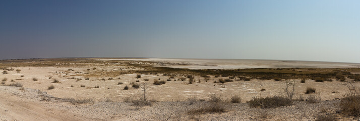 Panorama der trockenen, kahlen Etosha Salzpfanne in Namibia im August