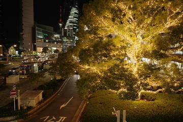 ライトアップとビル