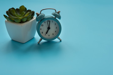 Alarm clock and flower pot on blue background. Front view. Copy space
