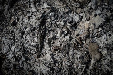 The ashes of the grass and the burning branches Ashes on the field after the fire