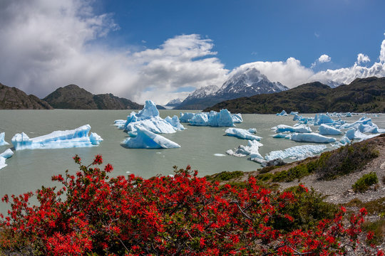Largo Grey - Torres del Paine National Park - Chile