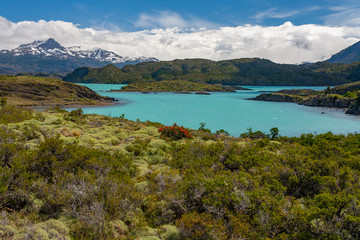 Fototapeta na wymiar Torres del Paine National Park - Patagonia - Chile - South America