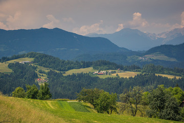 Fototapeta na wymiar Landscape in Slovenia in Sveti Tomaz, Skofja Loka, Slovenia