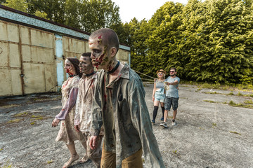 Naklejka premium Couple walking zombies on leashes