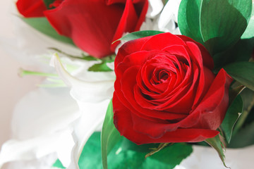 Red rose bud close-up. Part of the bouquet. Background for congratulations