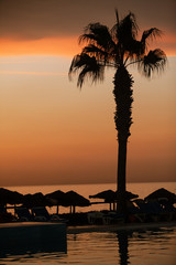 Palm tree on the beautiful, colorful background. Palm tree silhouette at evening sky on tropical island. Umbrellas on the beautiful, colorful background. Coastline at golden hour. 